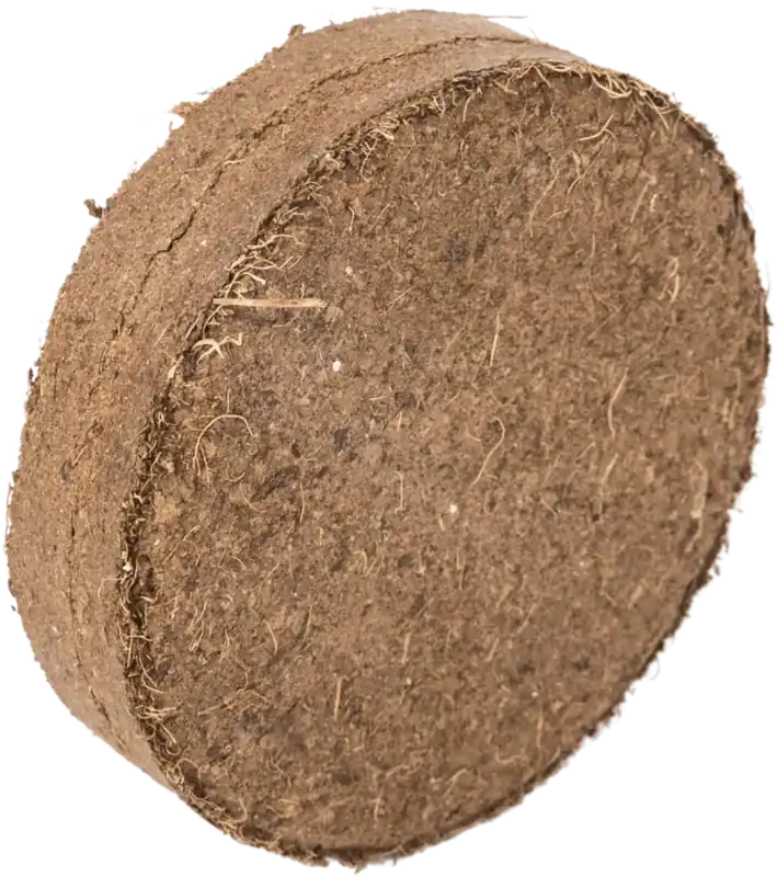 Laatste dagen | Grow-Grow Nut Kokosaarde Set, 10 Stuks