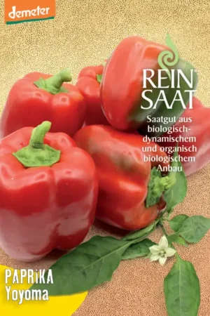 Voordeelprijs | ReinSaat Blokpaprika “Yoyoma”