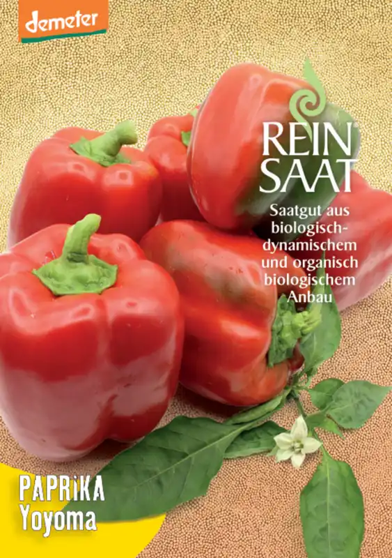 Voordeelprijs | ReinSaat Blokpaprika “Yoyoma”