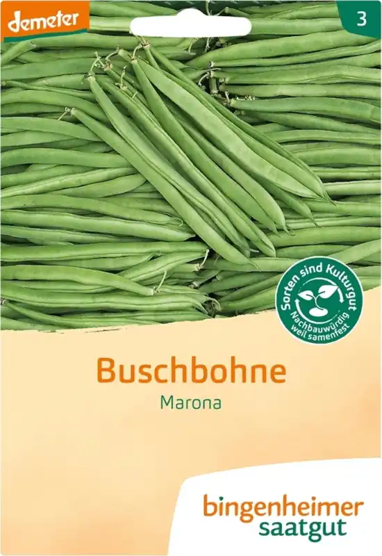 Bingenheimer Saatgut Struikboon "Marona" - Premium