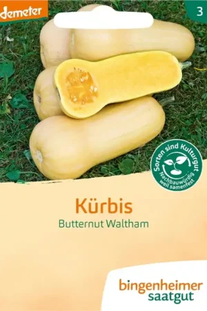 Bingenheimer Saatgut Pompoen "Butternut Waltham" | Veel gekozen