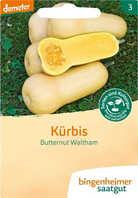 Bingenheimer Saatgut Pompoen "Butternut Waltham" | Veel gekozen