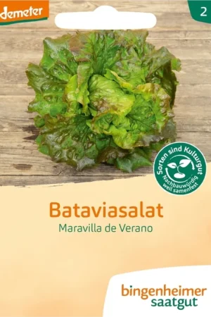 Topprijs - Bingenheimer Saatgut Batavia Sla "Maravilla de Verano"