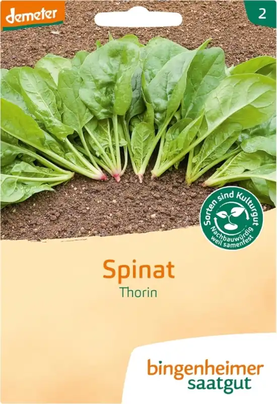 Bingenheimer Saatgut Spinazie "Thorin" - Nieuw in de shop