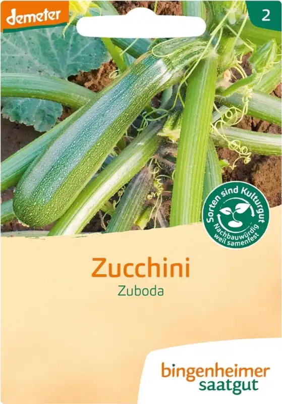 Nog maar enkele beschikbaar - Bingenheimer Saatgut Courgette “Zuboda”