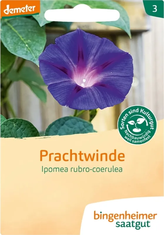 Dagdeal | Bingenheimer Saatgut Prachtwinde/Kaiserw.