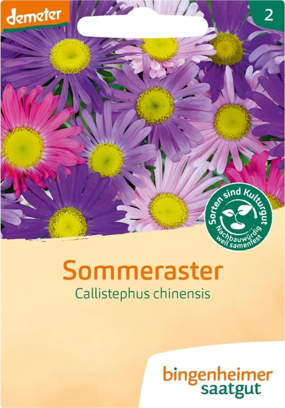 Sale | Bingenheimer Saatgut Zomeraster