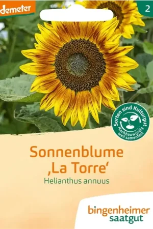 Bingenheimer Saatgut Zonnebloem Meerbloemig | Klantfavoriet