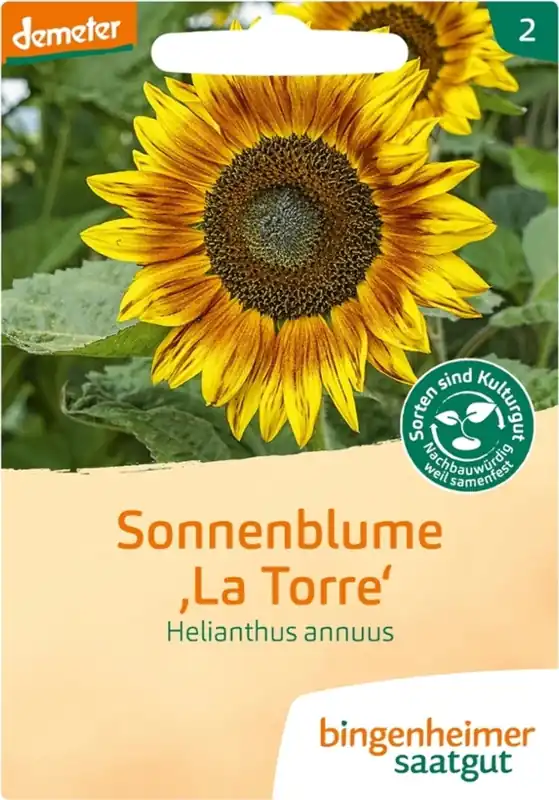 Bingenheimer Saatgut Zonnebloem Meerbloemig | Klantfavoriet