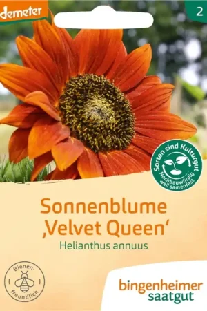 Direct bestellen - Bingenheimer Saatgut Zonnebloem
