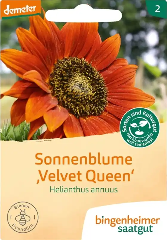 Direct bestellen - Bingenheimer Saatgut Zonnebloem
