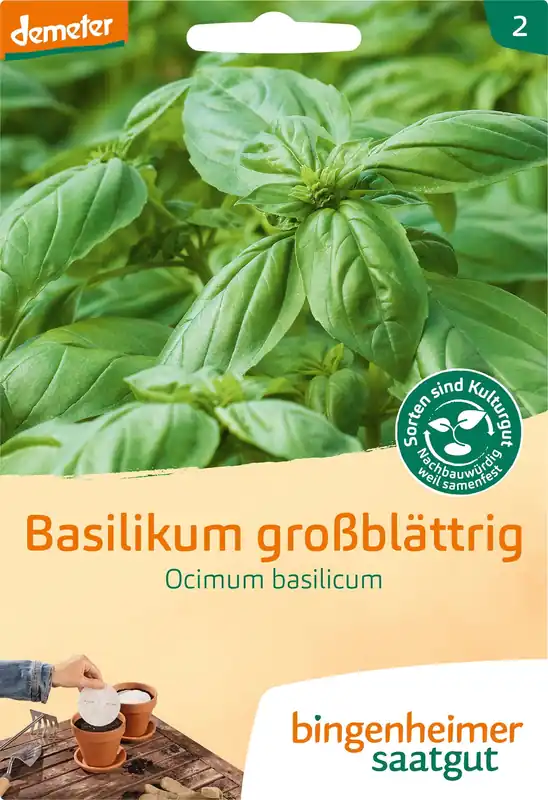 Bingenheimer Saatgut Basilicum "Grootbladig", 1 - Hoge kwaliteit