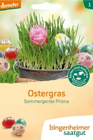 Bingenheimer Saatgut Zomergerst Pirona "Ostergras" - Populair bij klanten