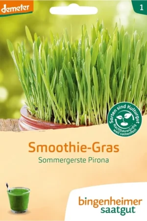 Nu beschikbaar - Bingenheimer Saatgut Zomergerst Pirona "Smoothie-Gras"