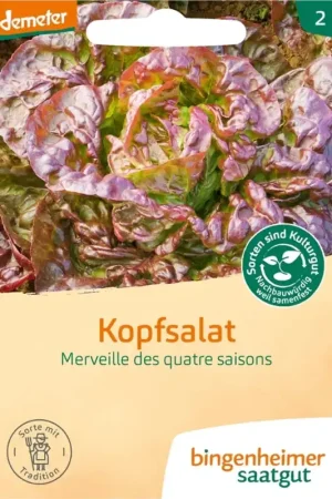 Voordelig | Bingenheimer Saatgut Kropsla "Merveille des Quatre Saisons"