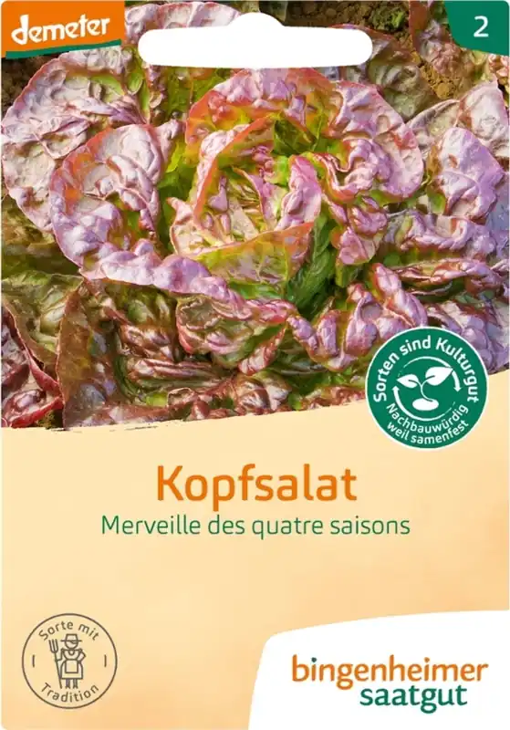 Voordelig | Bingenheimer Saatgut Kropsla "Merveille des Quatre Saisons"
