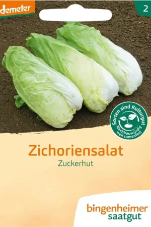 Net binnen - Bingenheimer Saatgut Witlofsalade "Zuckerhut"