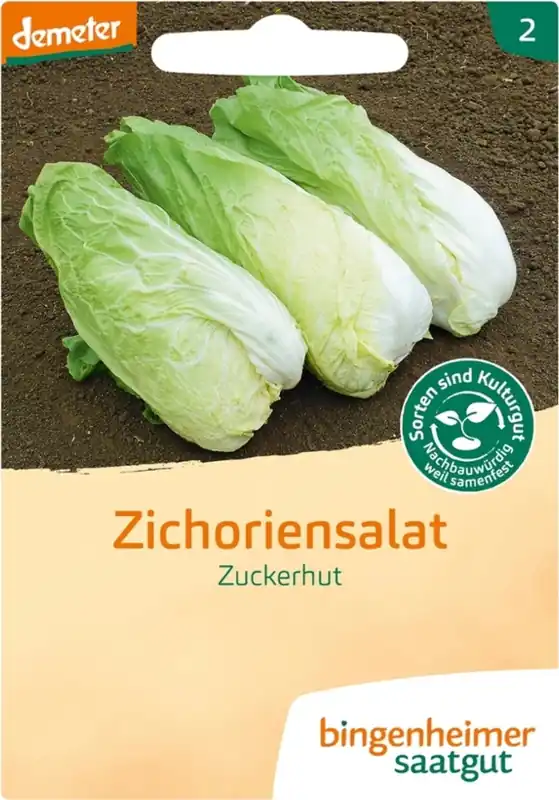 Net binnen - Bingenheimer Saatgut Witlofsalade "Zuckerhut"