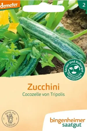 Nieuw in het assortiment - Bingenheimer Saatgut Courgettes "Cocozelle van Tripoli"
