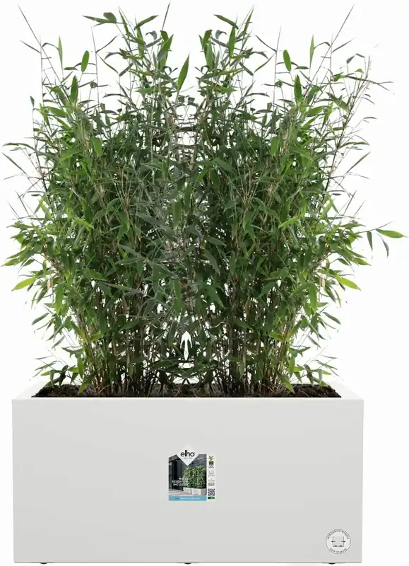 elho vivo next lang 80cm, living black | Speciale aanbieding