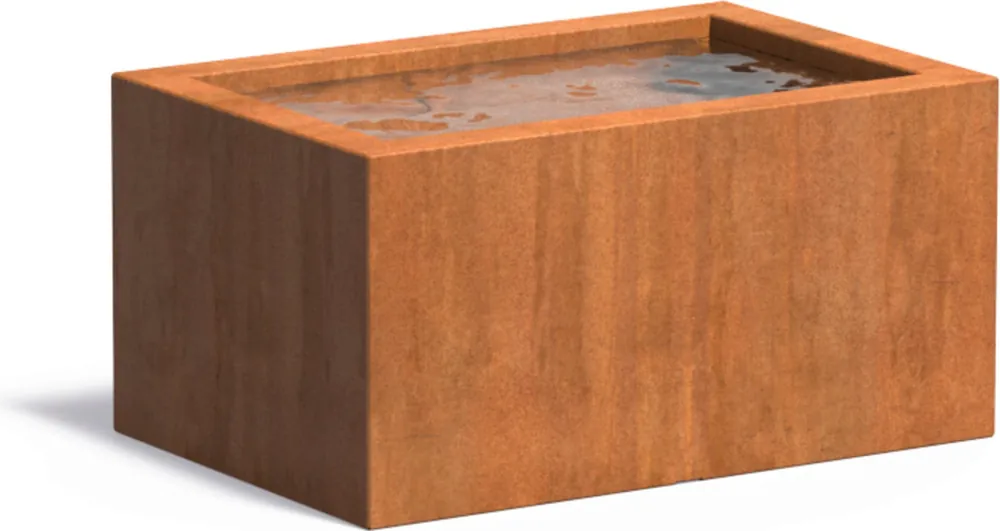 Actie | ADEZZ Waterbassin I Cortenstaal Vijverbassin, 120 x 80 x 60 cm
