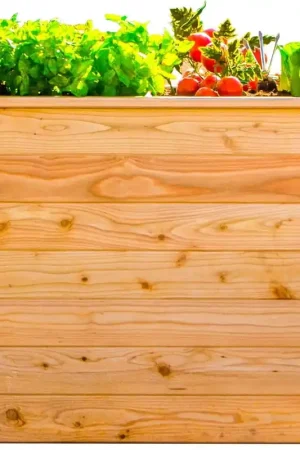 Bestel nu | Westmann Lariks Verhoogd Bed, 100