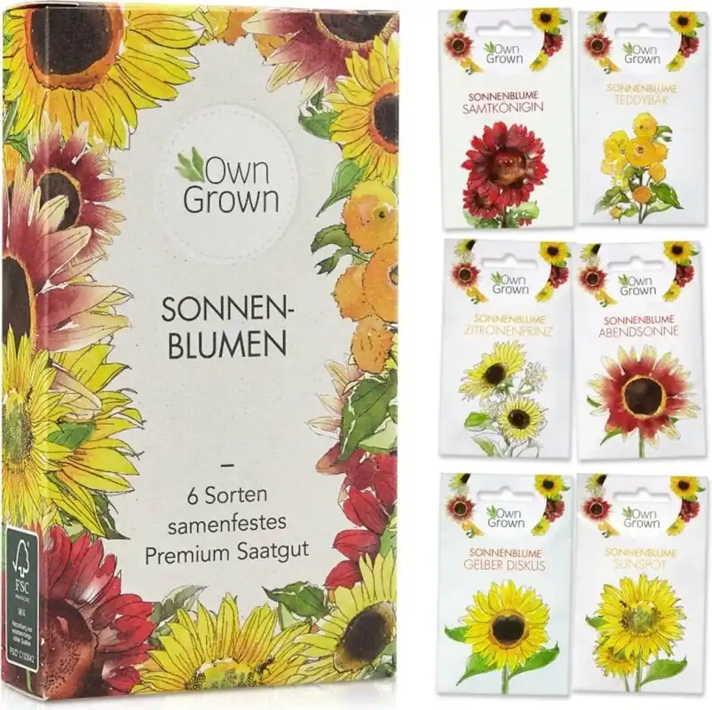 Own Grown Zonnebloemenzaden, Set van 6 | Topproduct