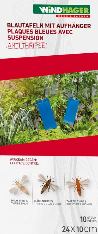 Wees er snel bij - Windhager Blauwe Kaartjes met Hanger, 10 stuks