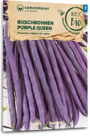Snelle levering - Samen Maier Biologische Struikbonen “Purple Queen”
