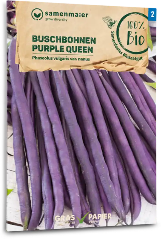 Snelle levering - Samen Maier Biologische Struikbonen “Purple Queen”