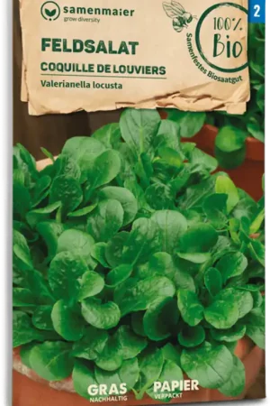 Direct van de fabrikant - Samen Maier Biologische Veldsla "Coquille de Louviers"