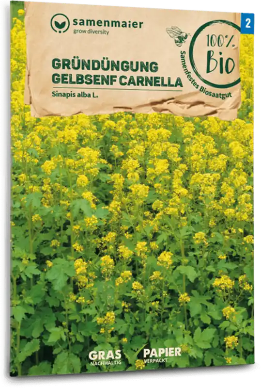 Samen Maier Biologische Witte Mosterd "Carnella" - Beste prijs