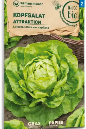 Meest verkocht - Samen Maier Biologische Sla “Attraktion"