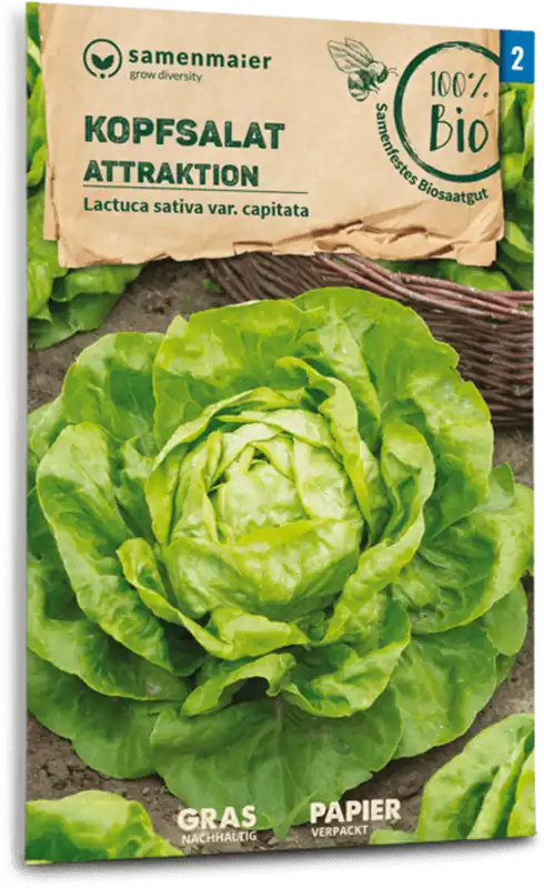 Meest verkocht - Samen Maier Biologische Sla “Attraktion"