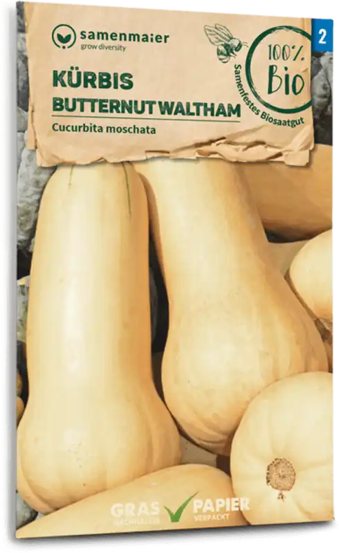 Nu kopen | Samen Maier Biologische Pompoen “Butternut”