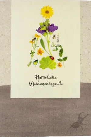 Bespaar meer - naturkraftwerk Bloemen- en Kruidenzadenmix "Natürliche Weihnachtsgrüße"