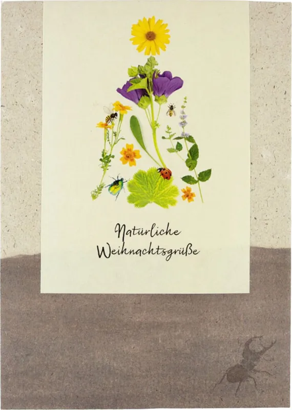 Bespaar meer - naturkraftwerk Bloemen- en Kruidenzadenmix "Natürliche Weihnachtsgrüße"