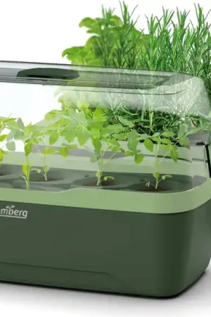 Veel gekozen - Romberg Kweektray & Plantenbak BoQube L, Green Edition