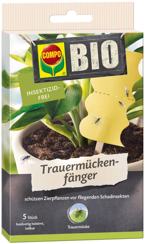 COMPO Biologische Rouwvliegenvanger, 5 stuks | Flitsaanbieding