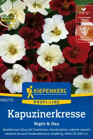 Extra korting | Kiepenkerl Oost-Indische kers "Night & Day
