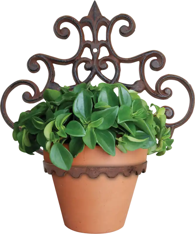 Premiumkwaliteit | Esschert Design Hangende Bloempot