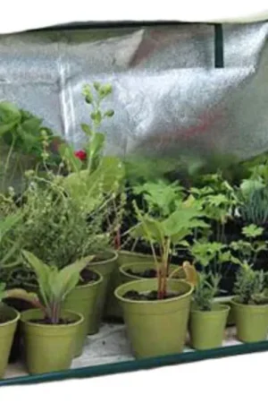 Haxnicks Kweekbak - Coldframe "Light Booster" | Online bestellen