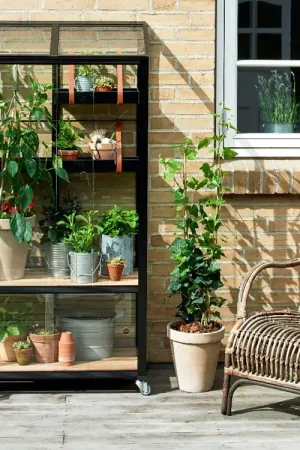 Juliana Kas Urban - City Greenhouse - Meest verkocht