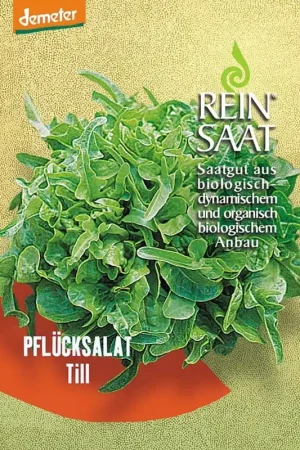 Net gelanceerd | ReinSaat Salade "Till"