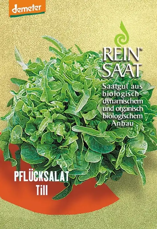Net gelanceerd | ReinSaat Salade "Till"