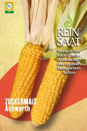 Bestelbaar - ReinSaat Suikermaïs "Ashworth"