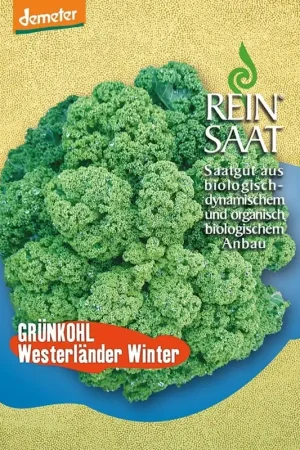 ReinSaat Boerenkool “Westlandse Winter” - Korting