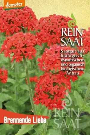 Topproduct | ReinSaat Brennende Liebe