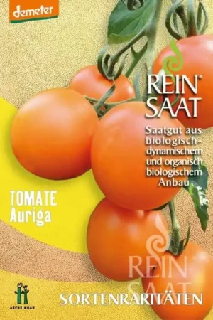 Shop nu - ReinSaat Slatomaat "Auriga"