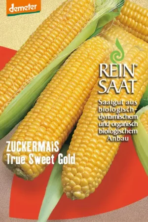 Favoriet van klanten | ReinSaat Suikermaïs "True Sweet Gold"